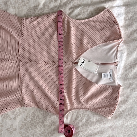 NWT Bar lll Mesh Blush Fit and Flare Dress - Picture 6 of 7